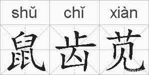鼠齿苋的拼音