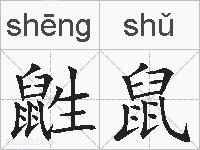 鼪鼠的拼音