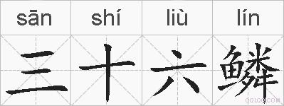 三十六鳞的拼音