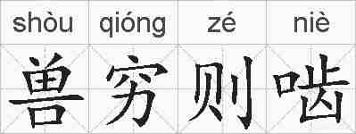 兽穷则啮的拼音