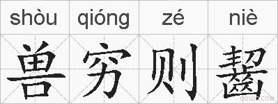 兽穷则齧的拼音
