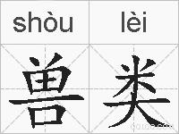 兽类的拼音