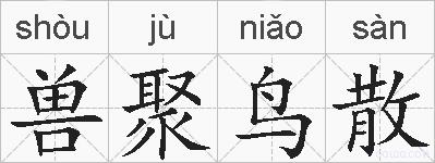 兽聚鸟散的拼音