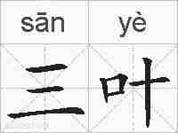 三叶的拼音