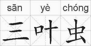 三叶虫的拼音