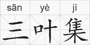 三叶集的拼音