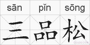 三品松的拼音