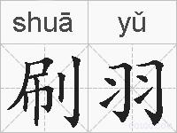 刷羽的拼音