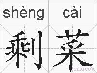 剩菜的拼音