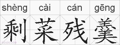 剩菜残羹的拼音