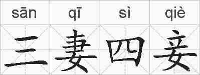 三妻四妾的拼音