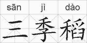三季稻的拼音