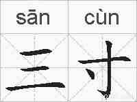 三寸的拼音
