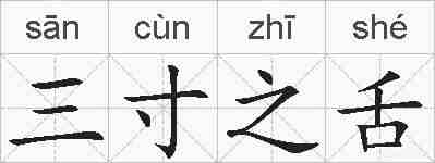 三寸之舌的拼音