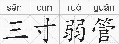 三寸弱管的拼音