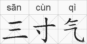 三寸气的拼音