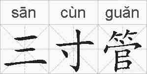 三寸管的拼音