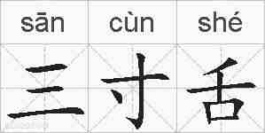 三寸舌的拼音