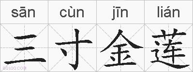 三寸金莲的拼音