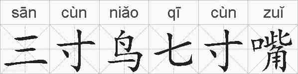 三寸鸟七寸嘴的拼音