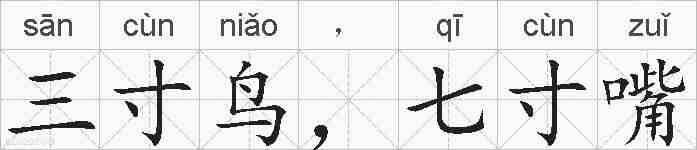 三寸鸟，七寸嘴的拼音