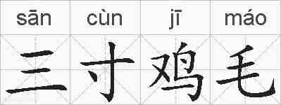 三寸鸡毛的拼音