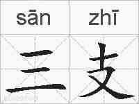 三支的拼音