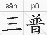 三普的拼音