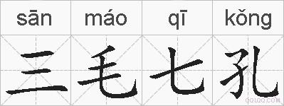 三毛七孔的拼音