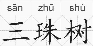 三珠树的拼音