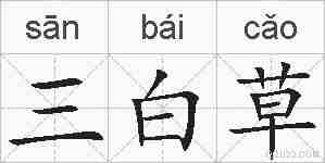 三白草的拼音