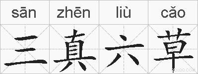 三真六草的拼音