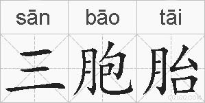 三胞胎的拼音