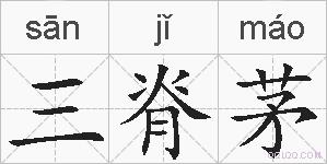 三脊茅的拼音