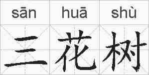 三花树的拼音