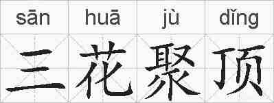 三花聚顶的拼音