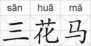 三花马的拼音