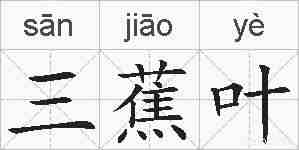 三蕉叶的拼音