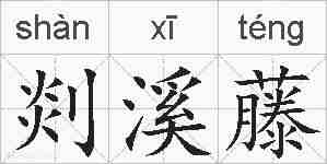 剡溪藤的拼音