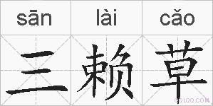 三赖草的拼音