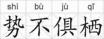 势不俱栖的拼音