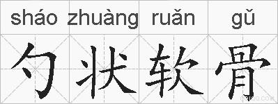 勺状软骨的拼音