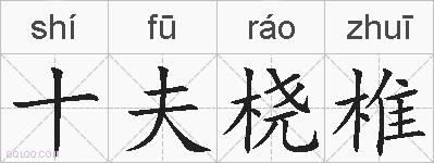 十夫桡椎的拼音