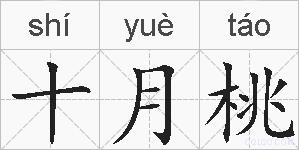 十月桃的拼音