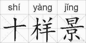 十样景的拼音