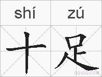 十足的拼音