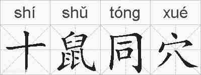十鼠同穴的拼音