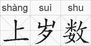 上岁数的拼音