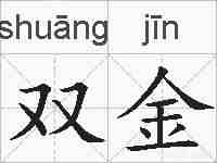 双金的拼音