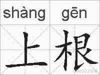 上根的拼音